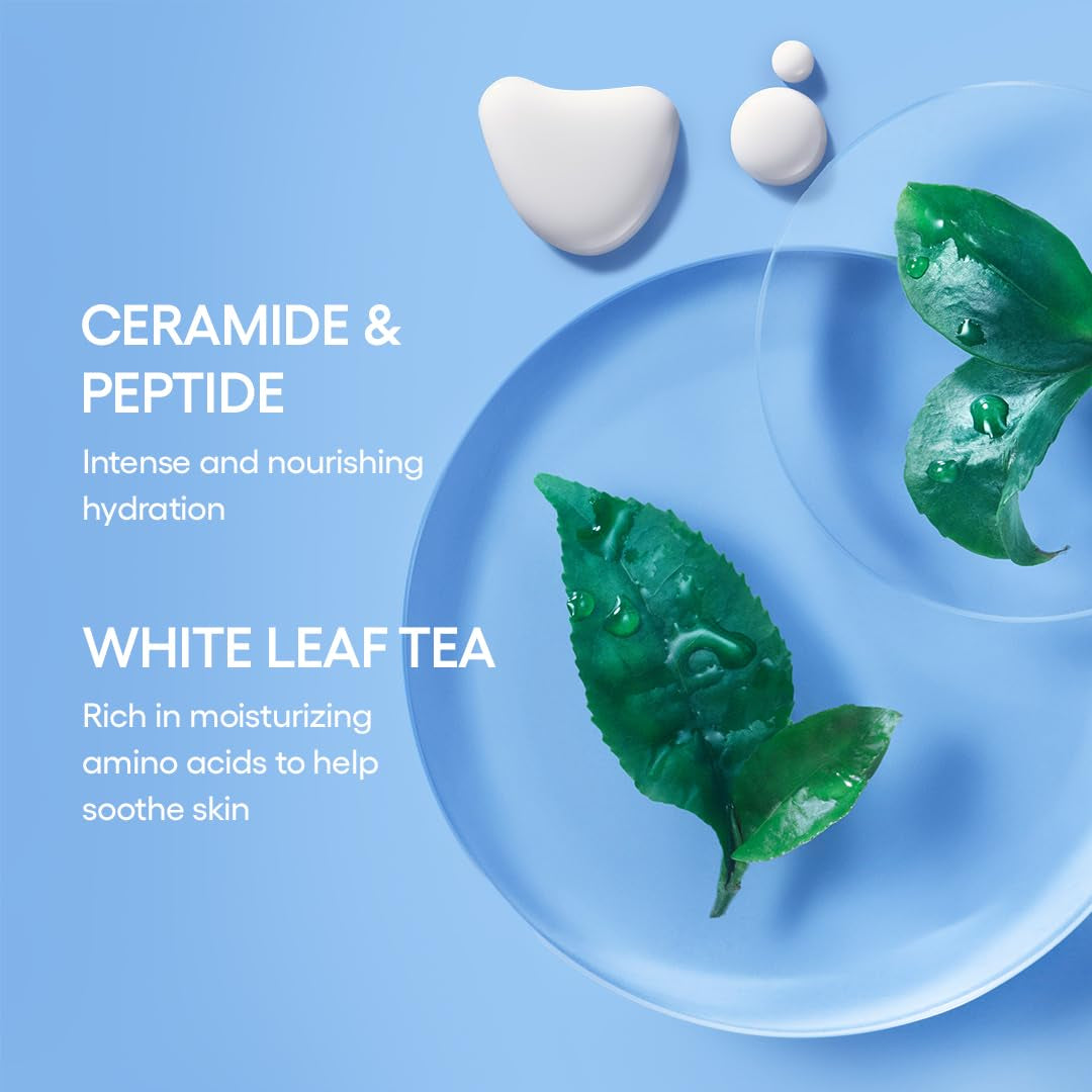 LANEIGE Water Bank Blue Hyaluronic Acid Cream Daily Face Moisturizer: Hydrating Korean Lightweight Face Cream with Ceramides & Squalane for Lasting Deep Hydration & Skin Barrier Support